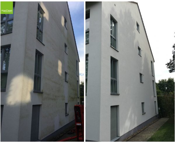 Algenentfernung an Fassaden – algenfreie Hauswand Vorher und Nachher